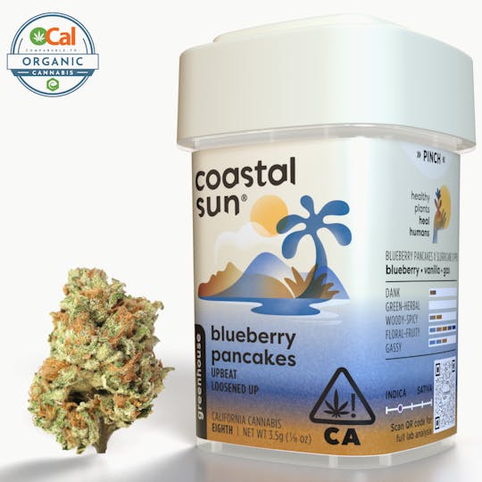Coastal Sun - Blueberry Pancakes Greenhouse Flower 3.5g - 1