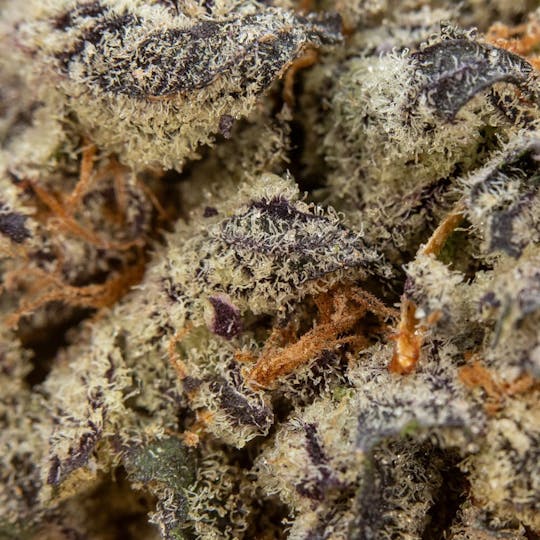 ThatGas Company - ThatGas | Chocolate Truffle - 3.5g Smalls - 1