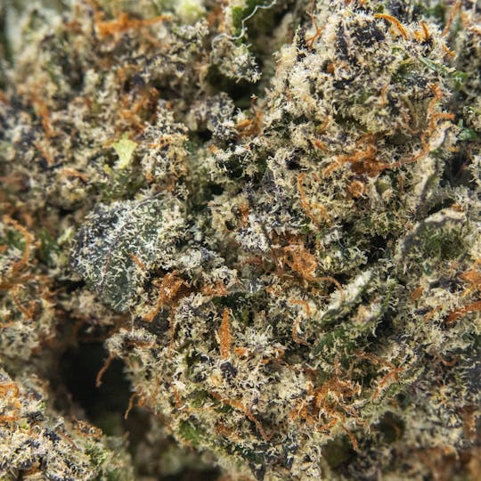 ThatGas Company - ThatGas | Fish Scale - 3.5g Smalls - 1