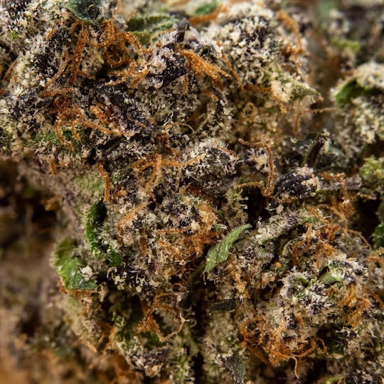 ThatGas Company - ThatGas | Gummy Runtz - 3.5g Smalls - 1