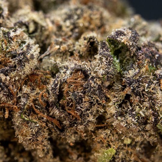 ThatGas Company - ThatGas | Jealous? - 3.5g Smalls - 1