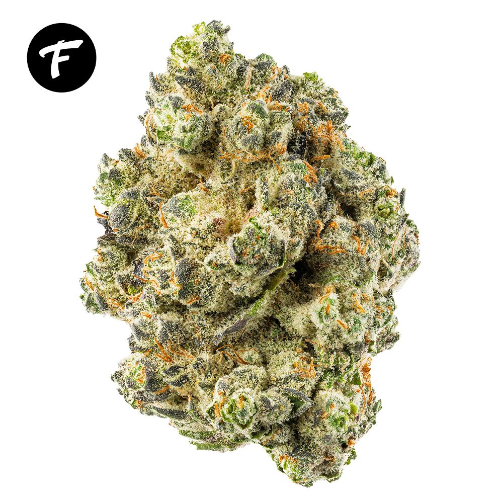 Willy Zonka - 26.13% - Forte Cannabis
