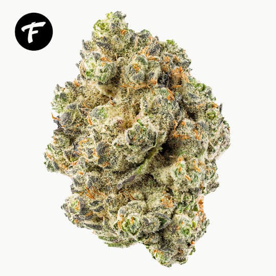 Forte Cannabis - Willy Zonka - 26.13% - 1