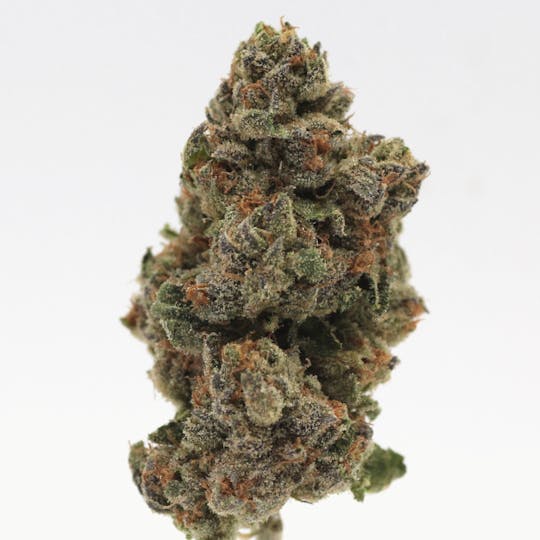 Canna Organix - Cereal Milk | Flower | 7g - 1
