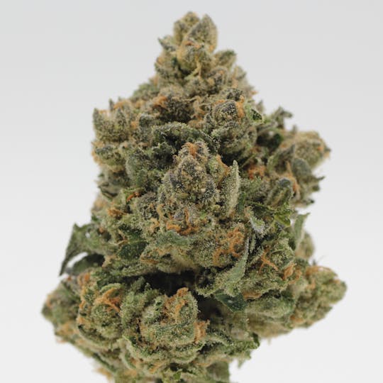 Canna Organix - Coldstone | Flower | 28g - 1