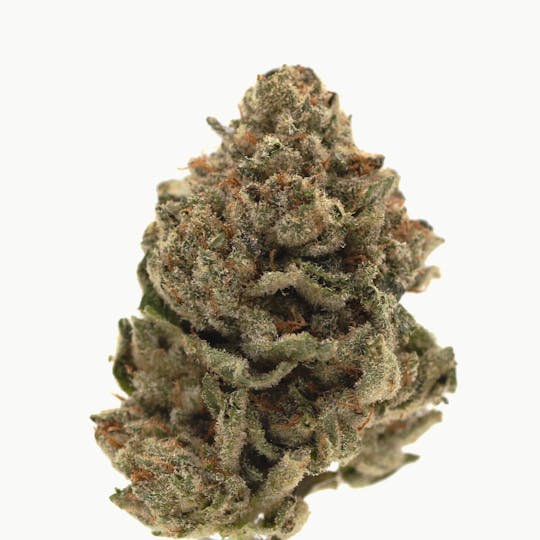 Canna Organix - Gluelato | Flower | 7g - 1