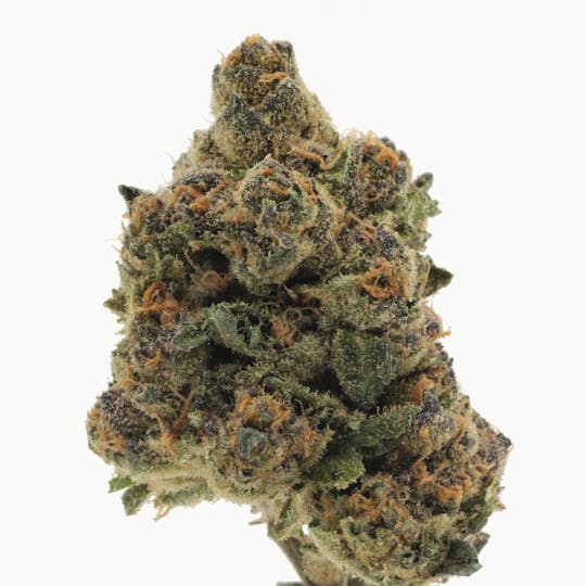 Canna Organix - Horchata | Flower | 28g - 1
