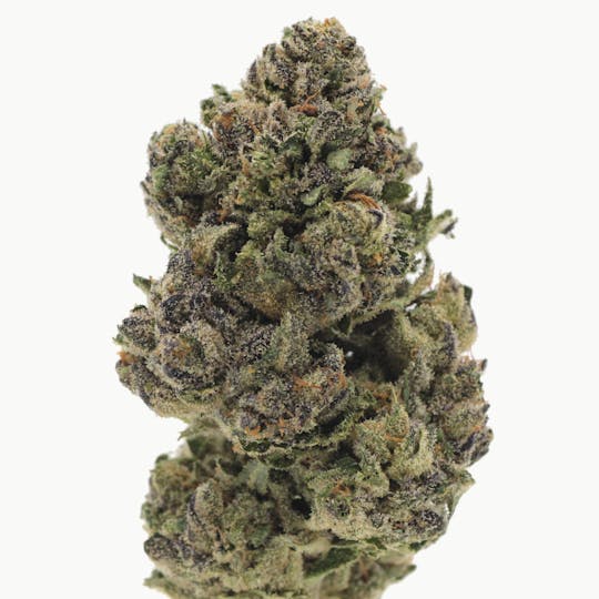 Canna Organix - Jokerz | Flower | 28g - 1