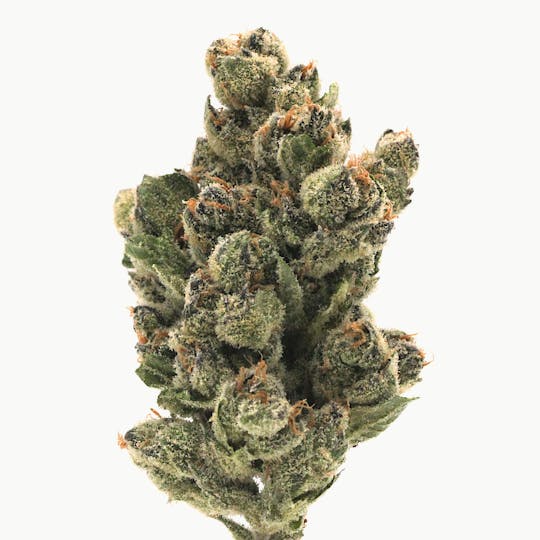Canna Organix - Pink Certz | Flower | 1g - 1