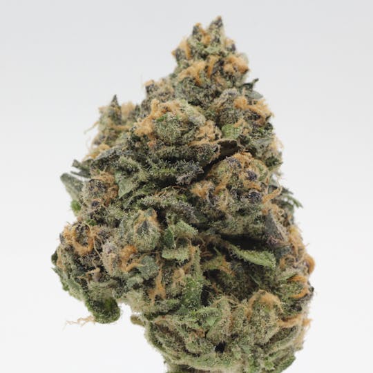 Canna Organix - Stardawg Gelato | Flower | 28g - 1