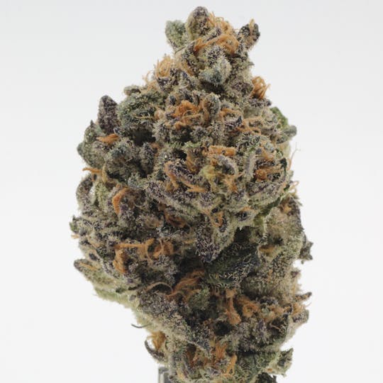 Canna Organix - XYZ | Flower | 28g - 1