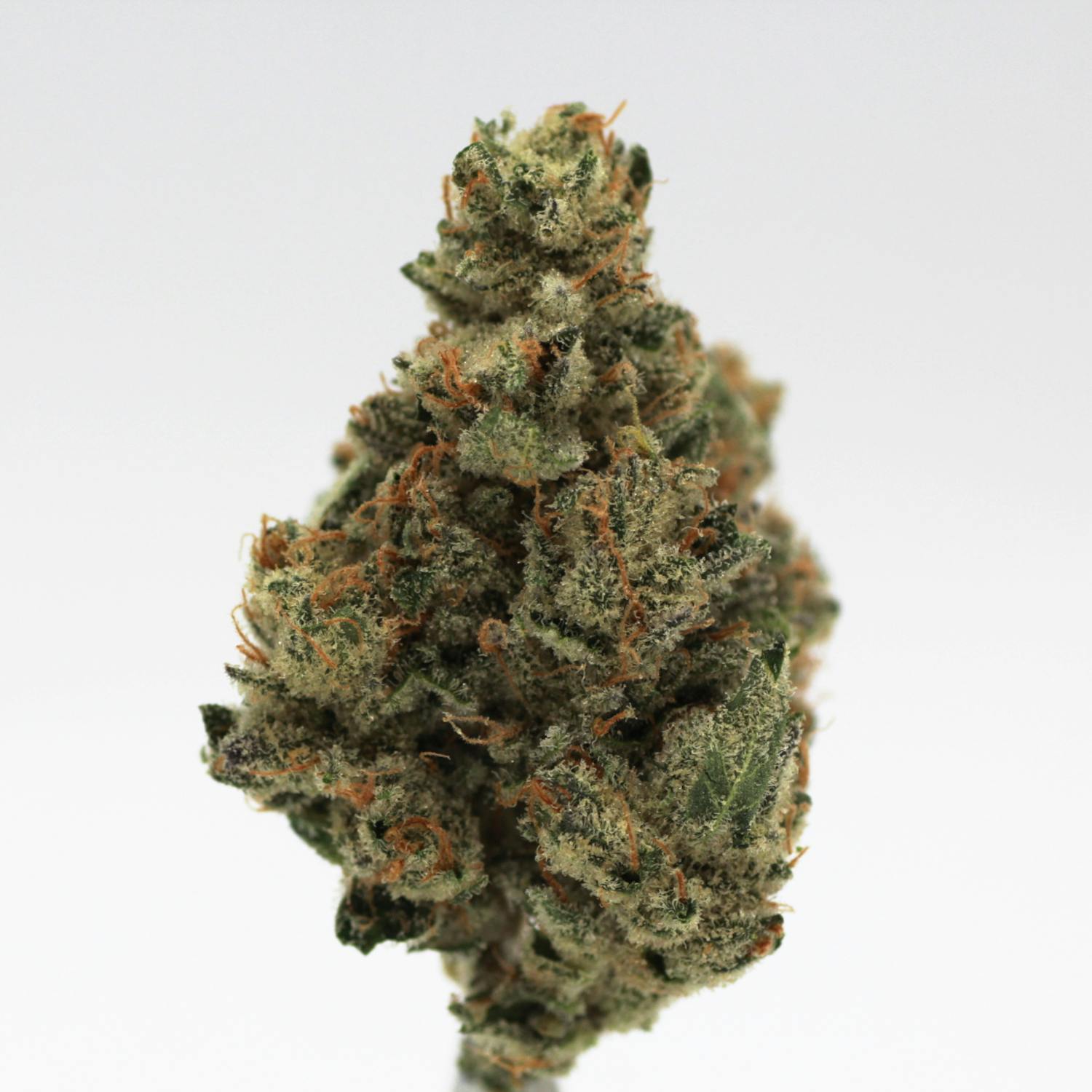 Canna Organix - Lemon Winks | Flower | 3.5g - 1