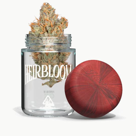 Heirbloom Legacy Flower - Orange Crush - 1