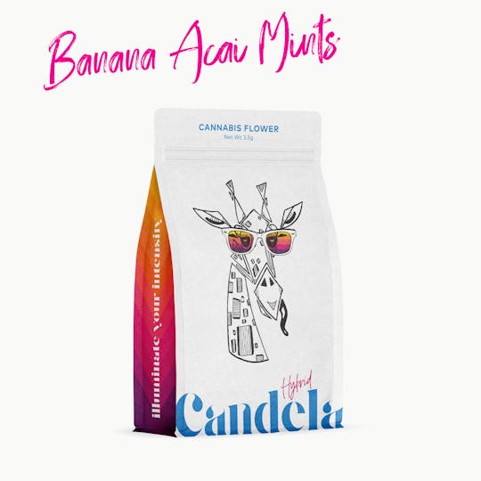 Candela - Candela Banana Acai Mints 3.5G Prepack - 1