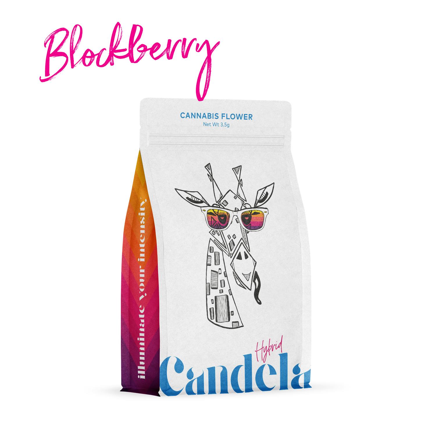 Candela - Candela Blockberry 1G Solventless Live Rosin - 1