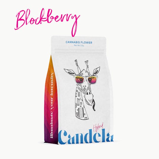 Candela - Candela Blockberry 1G Solventless Live Rosin - 1