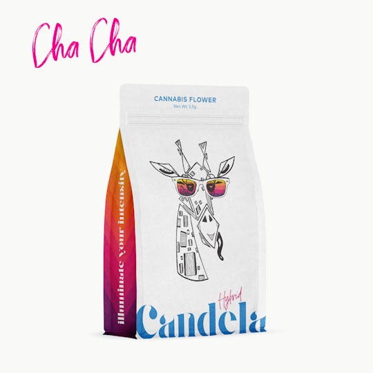 Candela - Candela Cha Cha 3.5G Prepack - 1