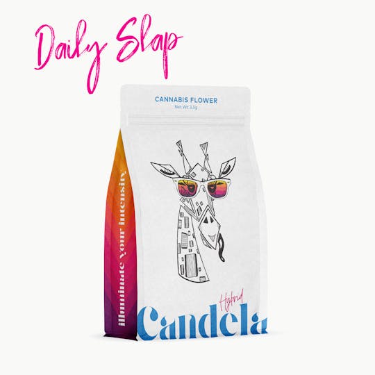 Candela - Candela Daily Slap 3.5G Prepack - 1