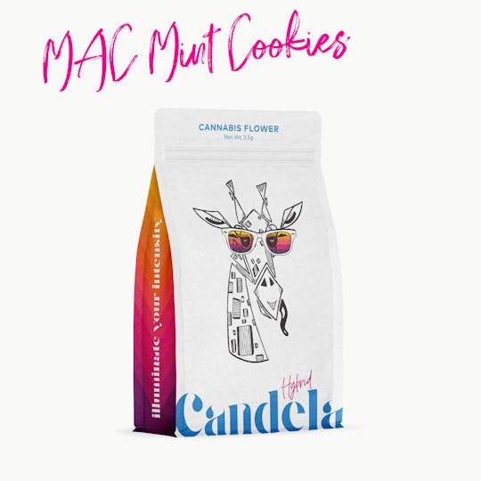 Candela - Candela MAC Mint Cookies 3.5G Prepack - 1