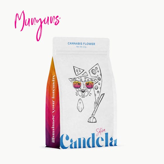 Candela - Candela Munyunz 3.5G Prepack - 1