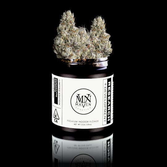 Maven Genetics - Lemon Cherry Gelato x Blue Lotus #14 - 1
