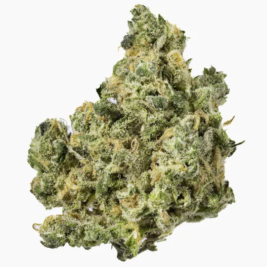 West Coast Cure - Blue Dream - 3.5G Top Shelf Flower - 1