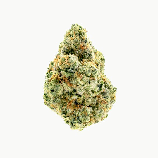 CURRENT - Cake Crashers 3.5g Rare Dessert Flower - 1