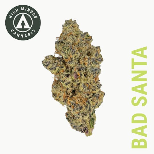 High Minded - Bad Santa - 1
