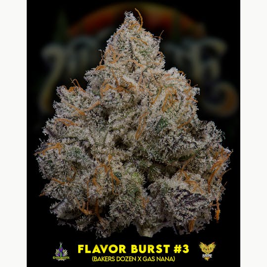Upstate Gardens - Flower: Flavor Burst #3 - 1