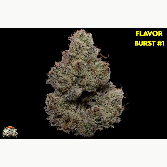 Upstate Gardens - Joint: 1g Flavor Burst #1 - 1