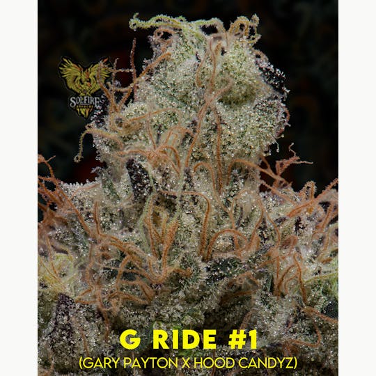 Upstate Gardens - Flower: G-Ride - 1
