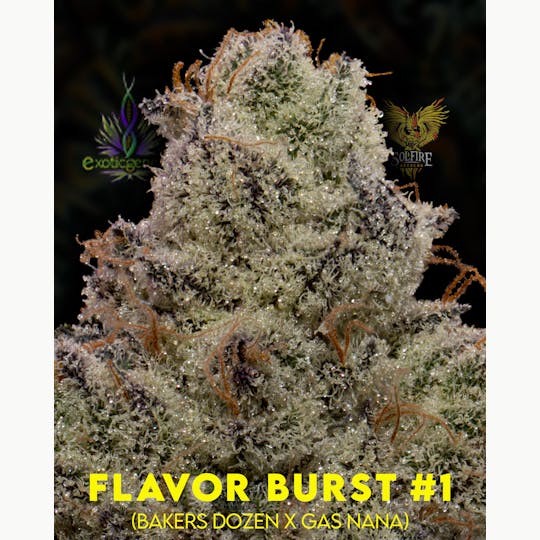 Upstate Gardens - Flower: Flavor Burst # 1 - 1