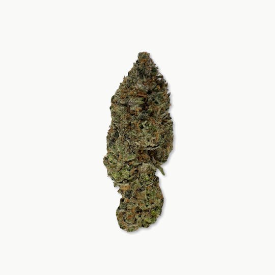 Indico - Forbidden Fruit Cake - Terra Horta - 1