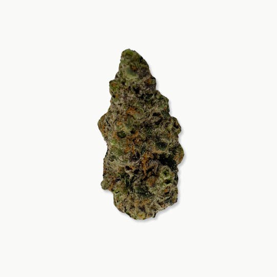 Indico - Detroit Lobster - Green Trap - 1