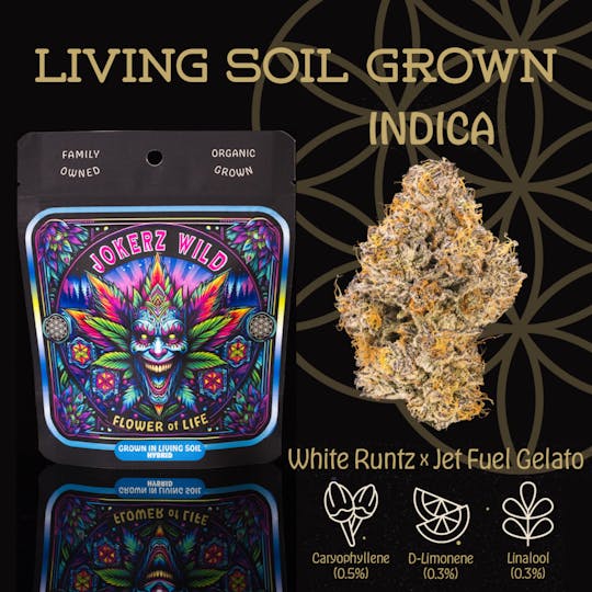 Flower of Life - Jokerz Wild | Flower | 3.5g - 1
