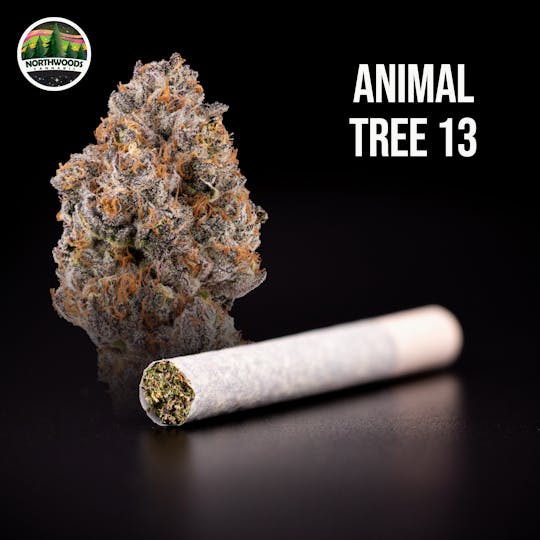 Northwoods Cannabis - Animal Tree 13 Pre-Roll - 1