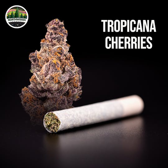 Northwoods Cannabis - Tropicana Cherries Pre-Roll - 1