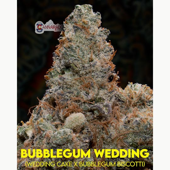 Upstate Gardens - Joint: 1g Bubblegum Wedding - 1