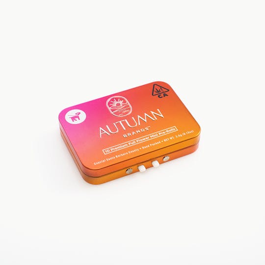 Autumn Brands - Funky Town - 10pk Mini Prerolls - 1