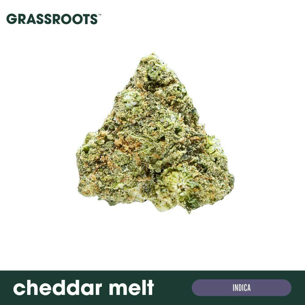 Grassroots - Cheddar Melt Flower - 1