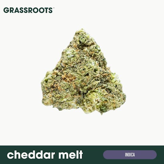 Grassroots - Cheddar Melt Flower - 1
