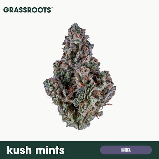 Grassroots - Kush Mints Flower - 1