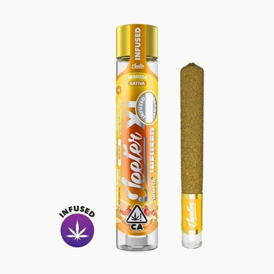 Jeeter - Jeeter XL Infused - Mimosa - 1