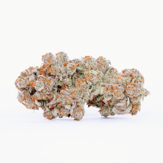Pure Beauty - Royal Green Ribbon | 3.5g Indoor - 1