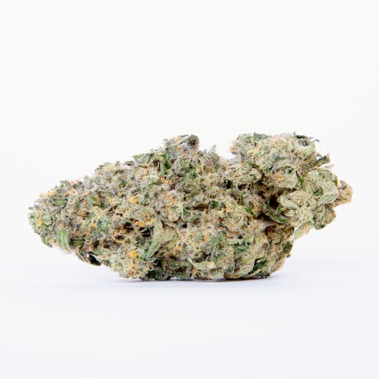 Pure Beauty - Sugar Combee | 14.17g Indoor - 1
