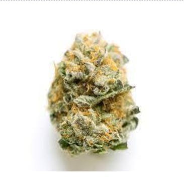 Smoakland - Smoakland | RS-11 | Big Buds | 28g - 1