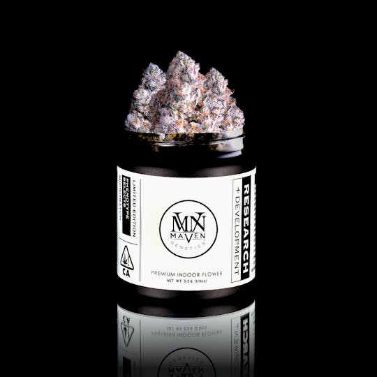 Maven Genetics - Opal x Paradiso #11 - 1
