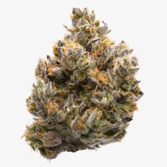 710 Labs - Lemon Tart Pucker Flower 3.5g - 1