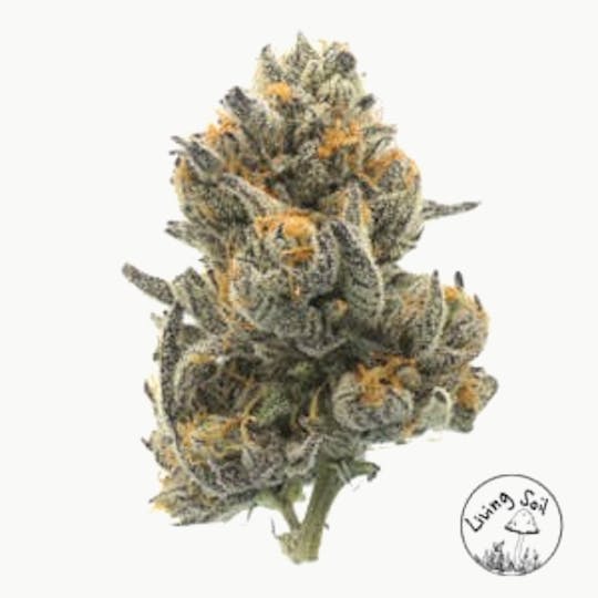 710 Labs - Piescream #7 Flower 14g - 1