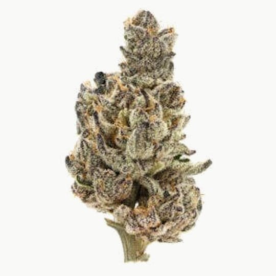 710 Labs - SB 36 #1 Flower 3.5g - 1